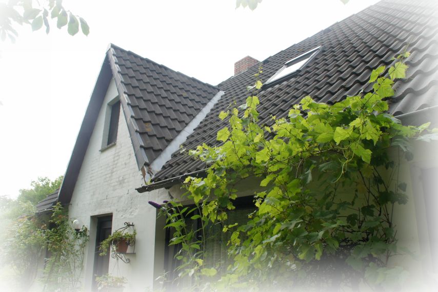 Aussenansicht Ferienhaus