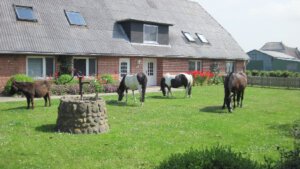 Bauernhaus mit Pferd davor