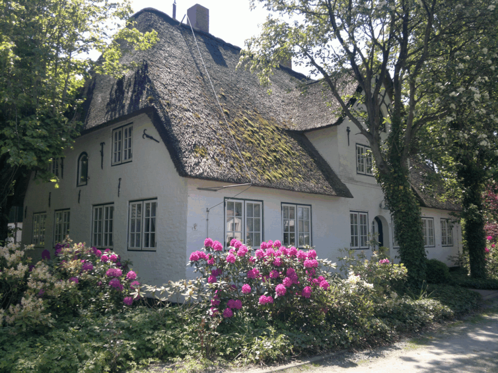 Reetdachhaus mit Garten