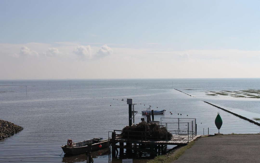 kleiner Hafen mit Anleger