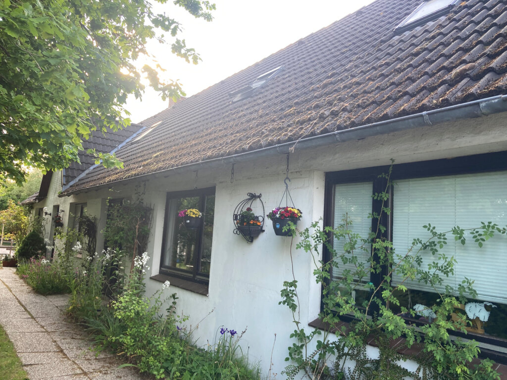 Eingang des Hauses mit Garten