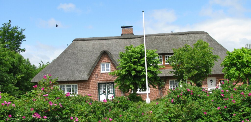 Reetdachhaus Vorderansicht