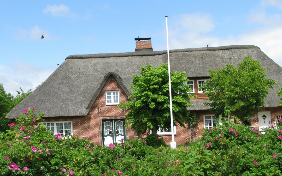 Reetdachhaus Vorderansicht