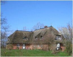 Reetdachhaus auf einer Warft