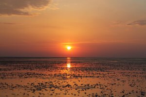 untergehende Sonne über dem Wattenmeer